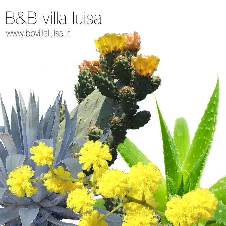 كاسارزا ليغير B&B Villa Luisa المظهر الخارجي الصورة